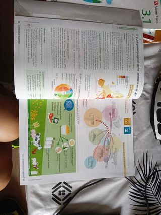 GEOGRAFIA E HISTORIA 3 (3.1-3.2)(COMUNIDAD EN RED)