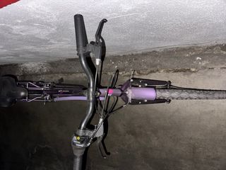 Bicicleta Niñ@s 20" Lila