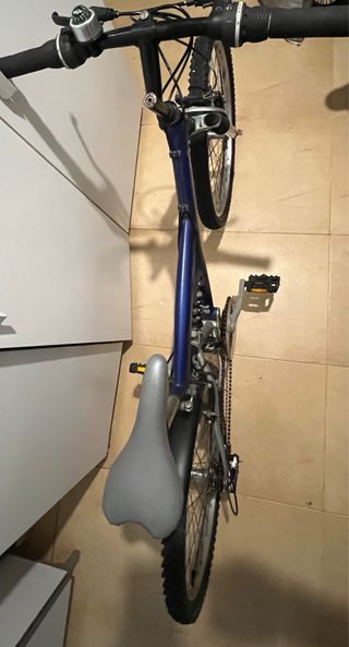 Bicicleta Shark  24" 