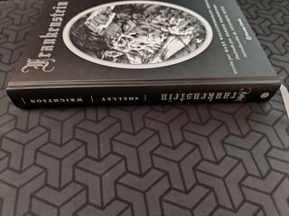 Frankenstein (novela gráfica)