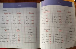 Bescherelle Illustre