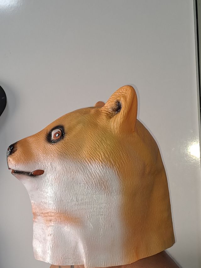 Máscara para cães Shiba Inu - Novo