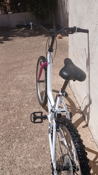 Bicicleta montaña saiguan 24" 