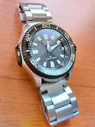 Citizen® Eco-Drive BN0085-01E (All Steel)