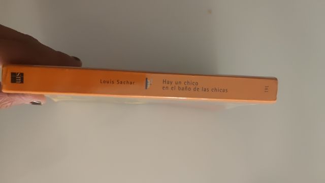 Hay un chico en el baño de las chicas (Spanish ...