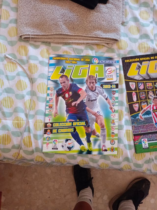 Álbumes Panini Liga 2012-14