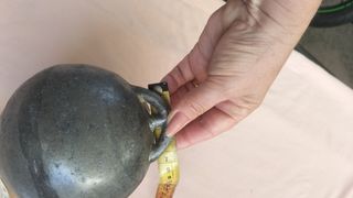 Bolla pesca antigua - Coleccionista