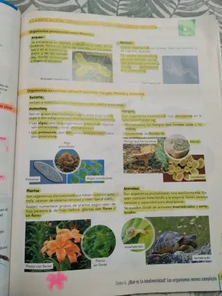 BIOLOGIA Y GEOLOGIA 1 (COMUNIDAD EN RED)