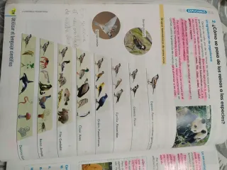 BIOLOGIA Y GEOLOGIA 1 (COMUNIDAD EN RED)