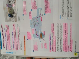 BIOLOGIA Y GEOLOGIA 1 (COMUNIDAD EN RED)