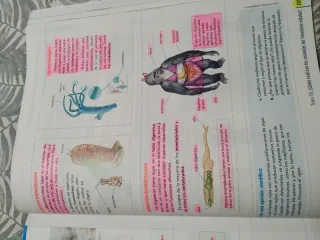 BIOLOGIA Y GEOLOGIA 1 (COMUNIDAD EN RED)
