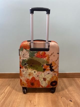 Maleta de cabina.