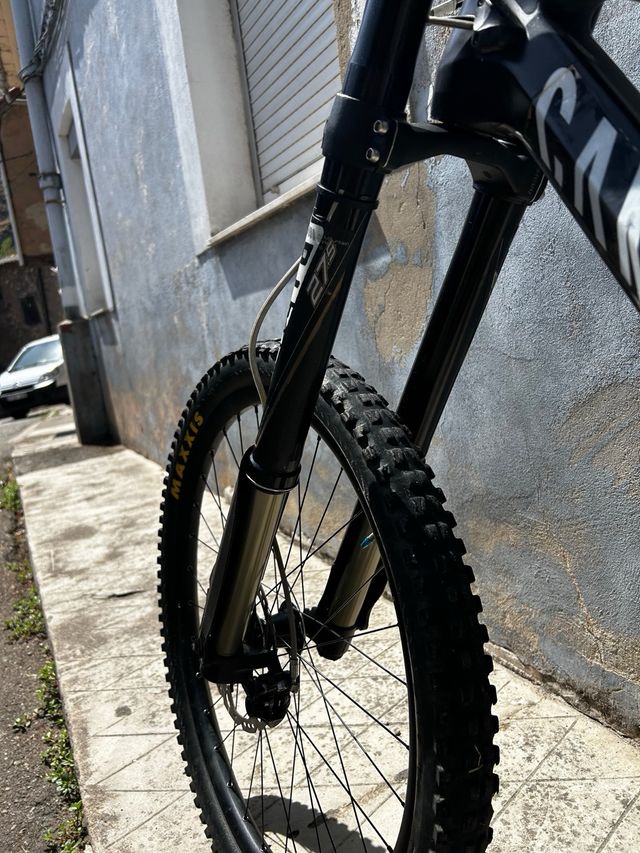Canyon Sender CF XL - DH