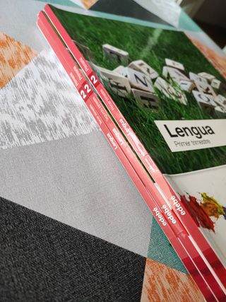 LENGUA 2