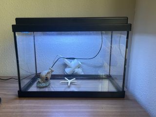 Pecera 25L - Acuario pequeño