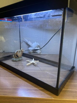 Pecera 25L - Acuario pequeño