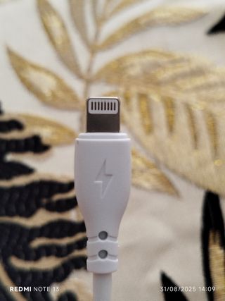 Confezione singola: caricabatterie + cavo per iPhone