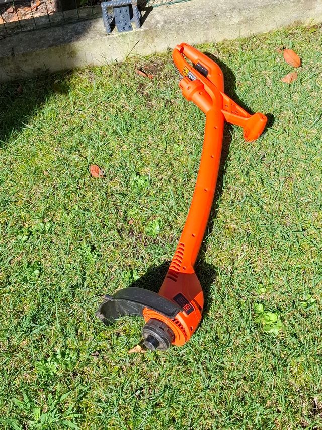 Tagliabordi elettrico - Decespugliatore