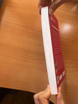 Don Quijote de La Mancha, Bachillerato