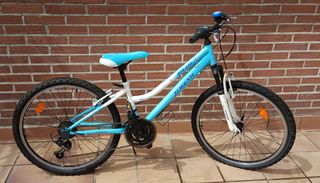 Bicicleta Infantil de Montaña MTB 600, JL Wenti.