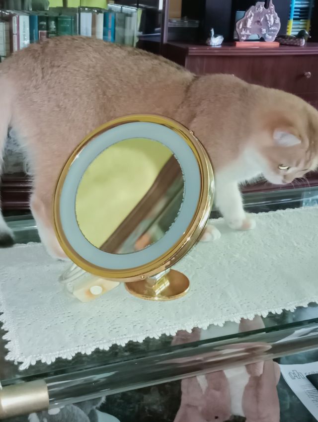 Espejo maquillaje dorado vintage