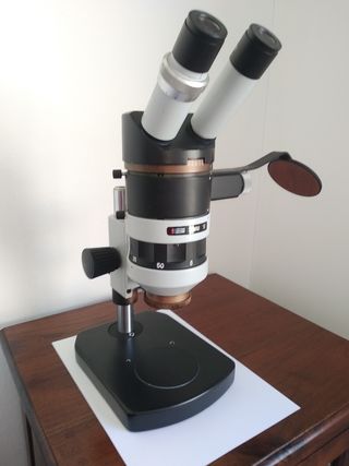 Microscopio estereoscópico