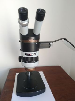 Microscopio estereoscópico