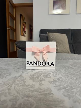 Pack cajas y bolsas Pandora