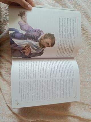 Don Quijote de la Mancha (tapa dura)