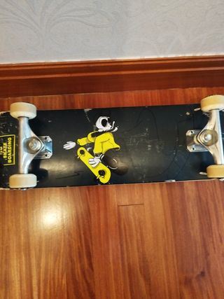Skate usado