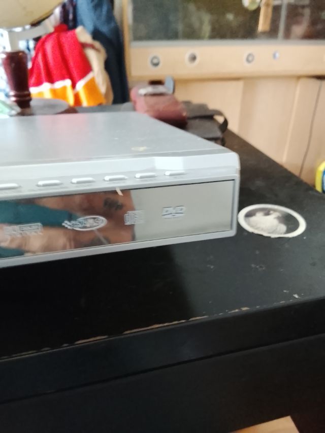 Reproductor DVD WELL