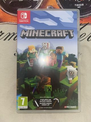 Minecraft Nintendo Switch