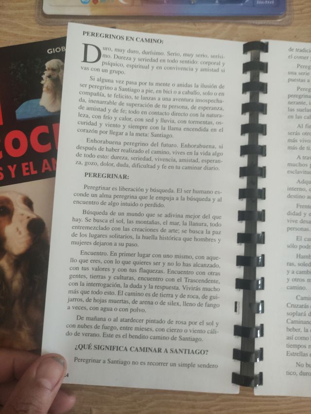Camino de Santiago