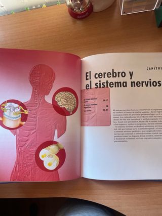 El Cuerpo humano (órganos, sistemas y funciones)