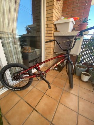 Bicicleta BMX Race