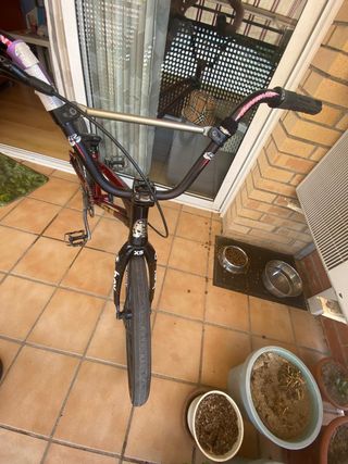 Bicicleta BMX Race