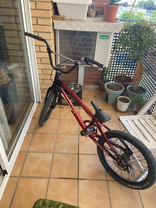 Bicicleta BMX Race
