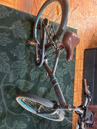 Bicicleta de paseo para niños
