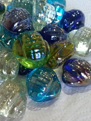 Conchiglie di vetro decorative