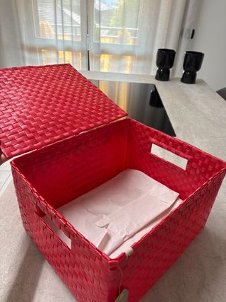 Cesto | Contenitore con coperchio Pagnossin rosso