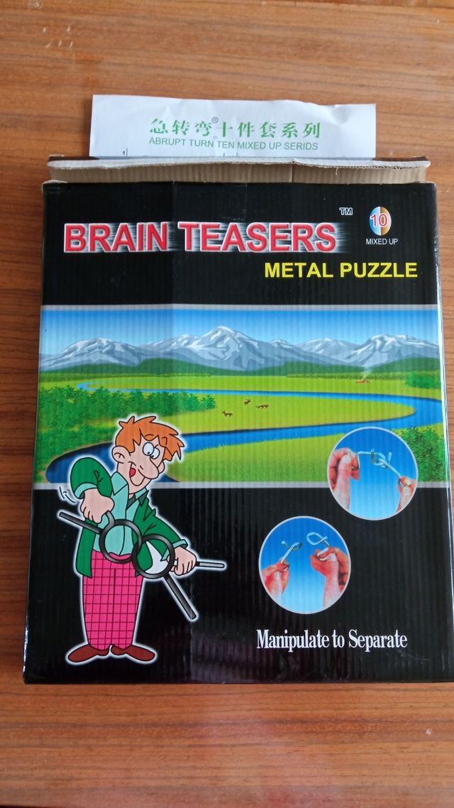 10 Rompecabezas Metalicos