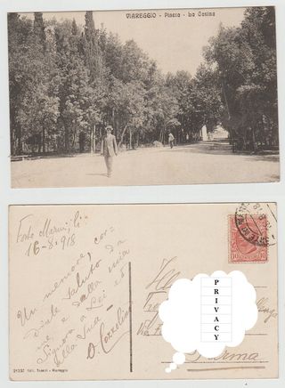Cartolina Viareggio Pineta La Casina a47