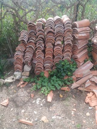 Tejas árabes 