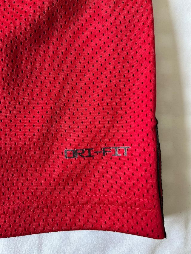 Camiseta Jordan Sport Dri-FIT Statement