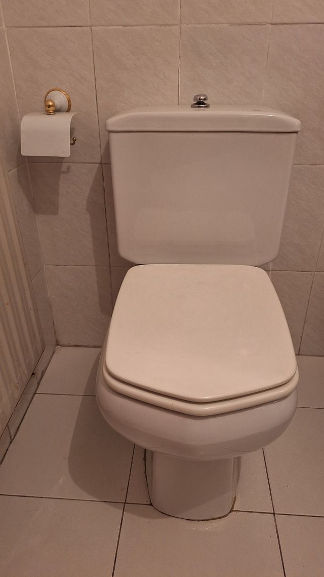 Inodoro Roca blanco porcelana