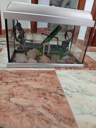 Pecera con accesorios 37 litros