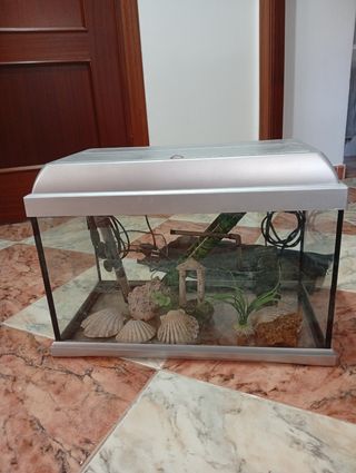 Pecera con accesorios 37 litros