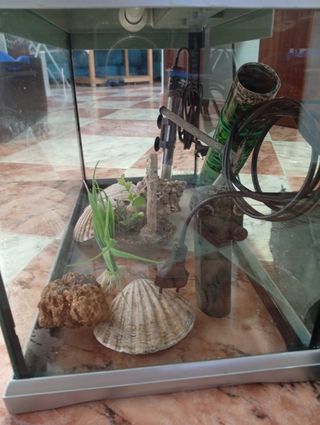 Pecera con accesorios 37 litros