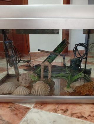 Pecera con accesorios 37 litros