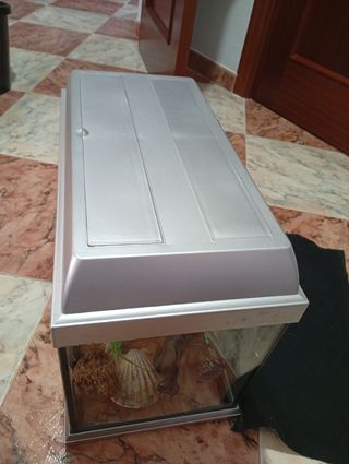 Pecera con accesorios 37 litros